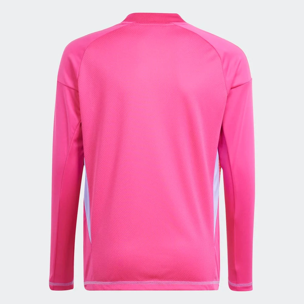 Men's adidas Tiro 24 Goalkeeper Jersey Longsleeve - Terema/ Wonqua