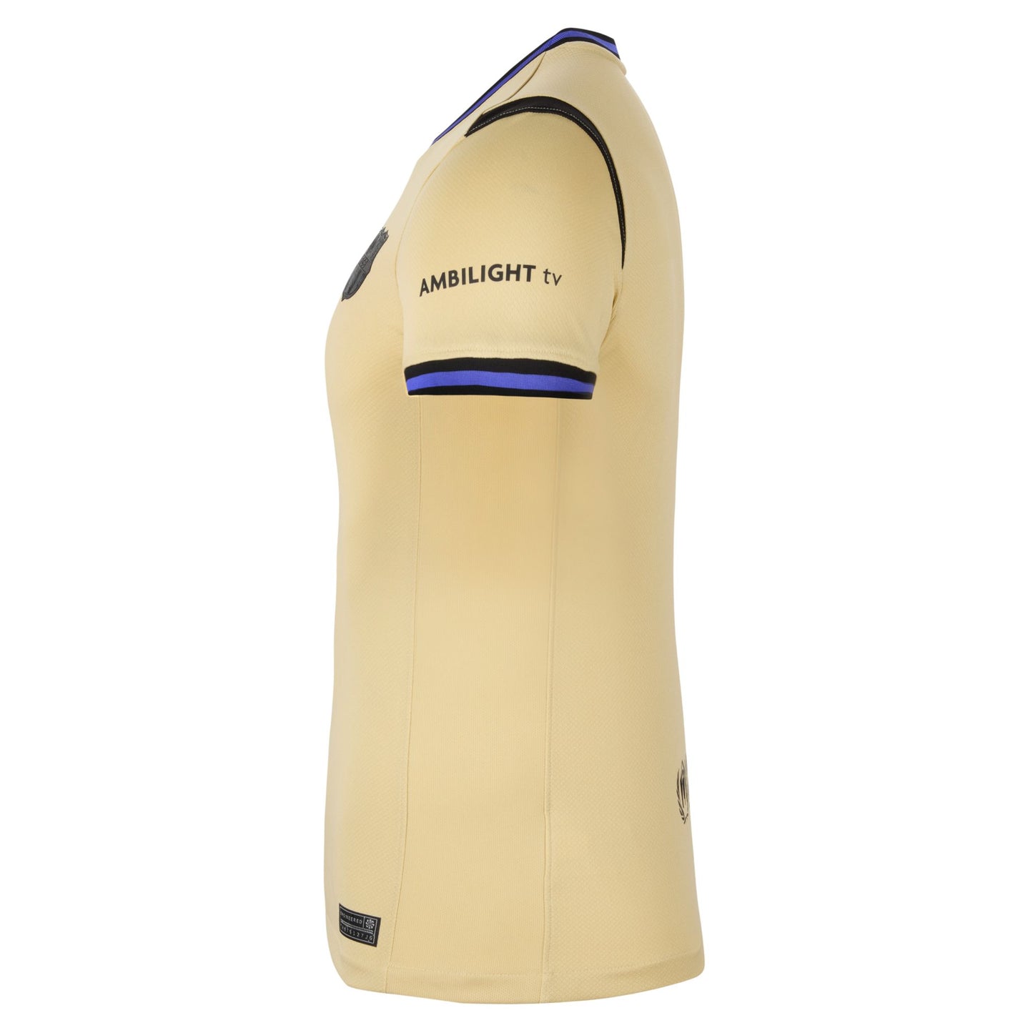 Women's Nike Barcelona Replica Away Jersey Away Jersey 2025/2026