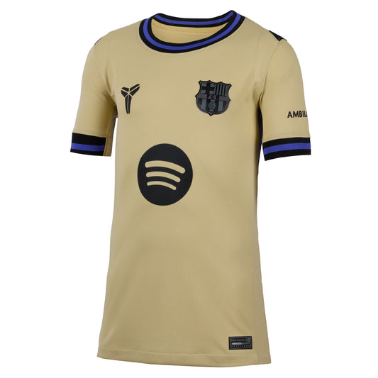 Youth Nike Replica Barcelona Away Jersey 2025/2026