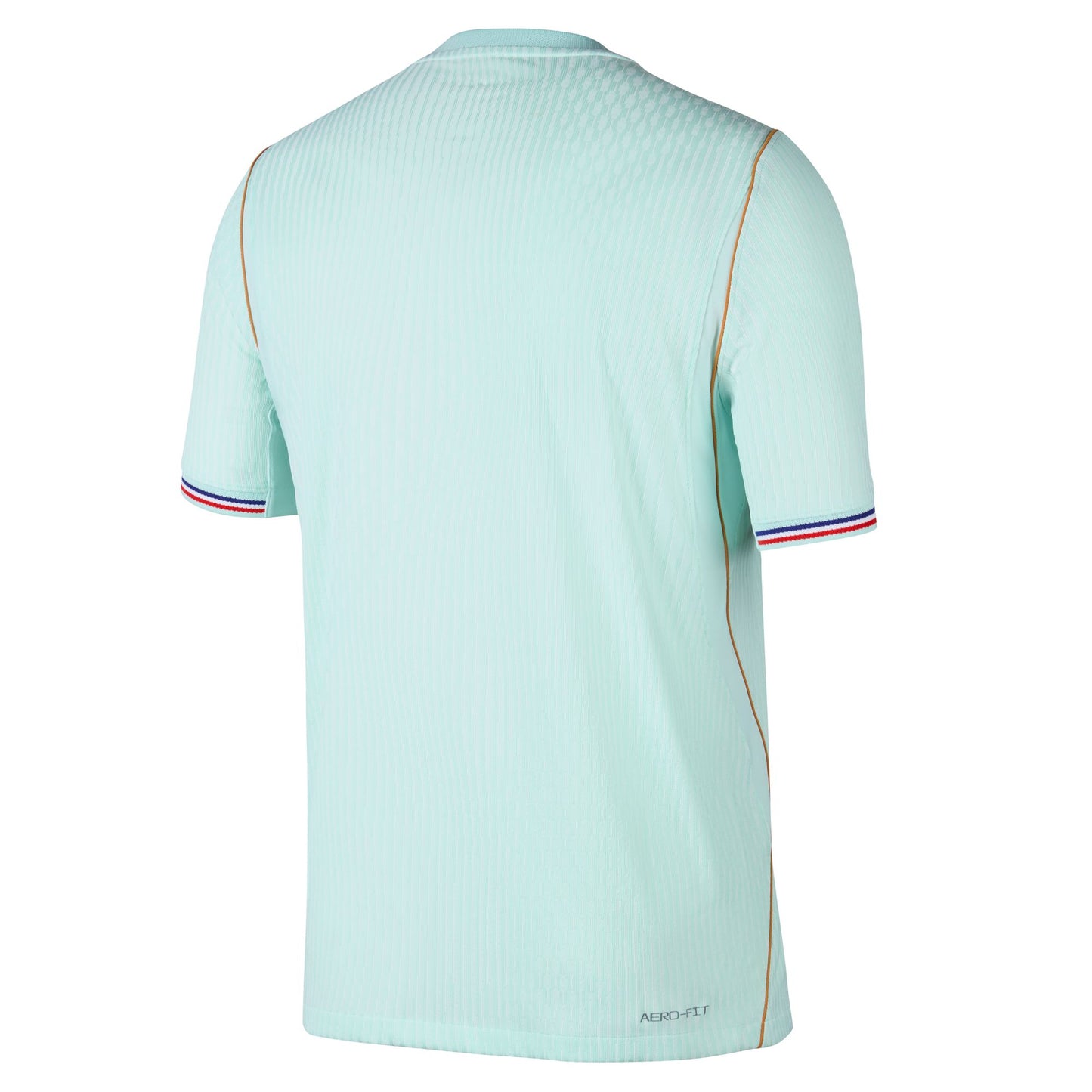 Nike Men's France Authentic Away Jersey 2026 - Igloo/ Monarch/ Monarch