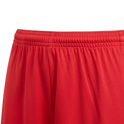 Youth adidas Squadra Training Shorts - Red / White